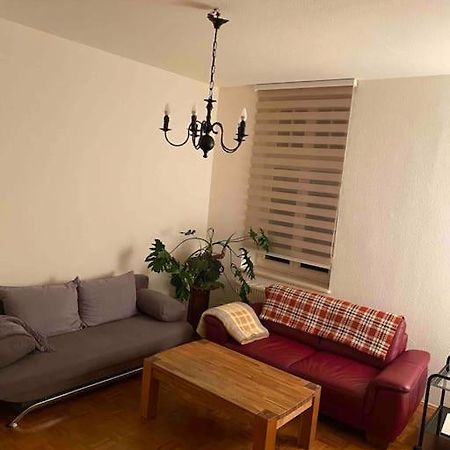 Schoene Altbauwohnung Mit Gruen In Ruhiger Lage Leipzig Exterior photo