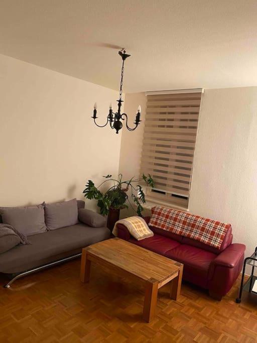 Schoene Altbauwohnung Mit Gruen In Ruhiger Lage Leipzig Exterior photo